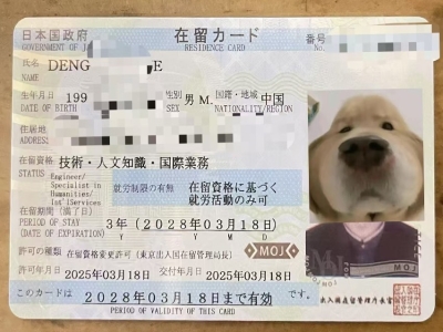 导游3年签证案例