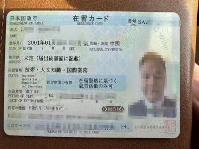 机场地勤技术人文签证案例