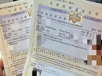 特定技能外食行业